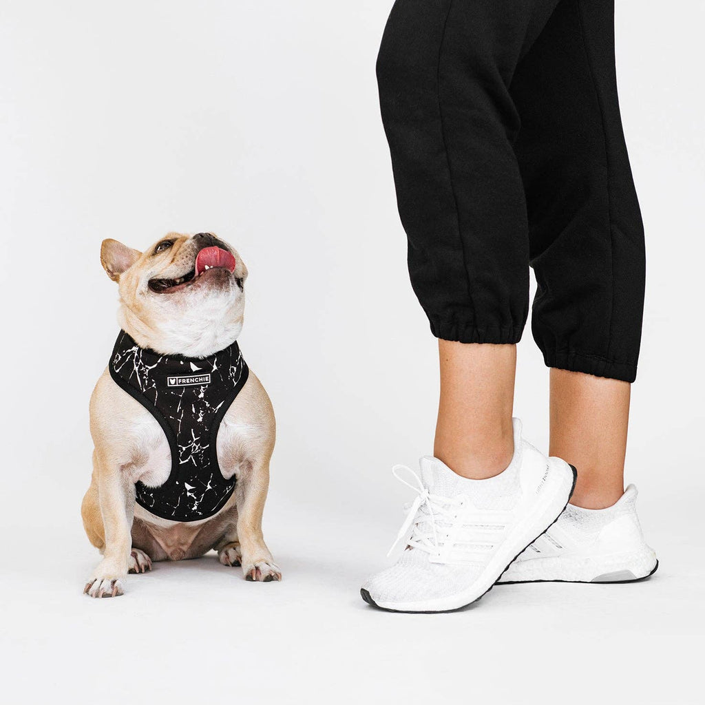 Frenchie Duo Reversible Harness - Black Marble - The Bougie Pet Boutique