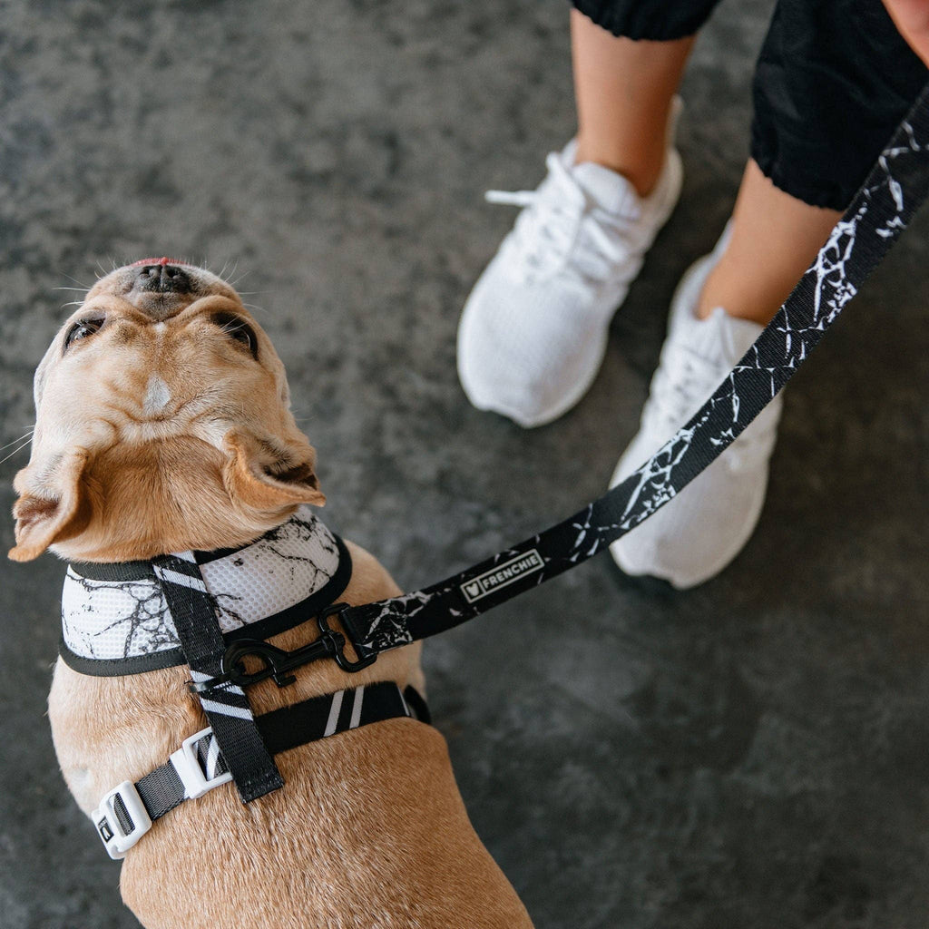 Frenchie Duo Reversible Harness - Black Marble - The Bougie Pet Boutique