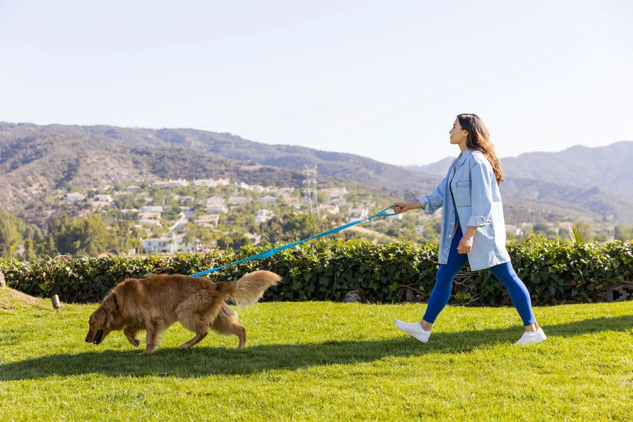 Shock Absorbing Bungee Leash w/ Three Padded Handles 4-6 ft. Shed Defender