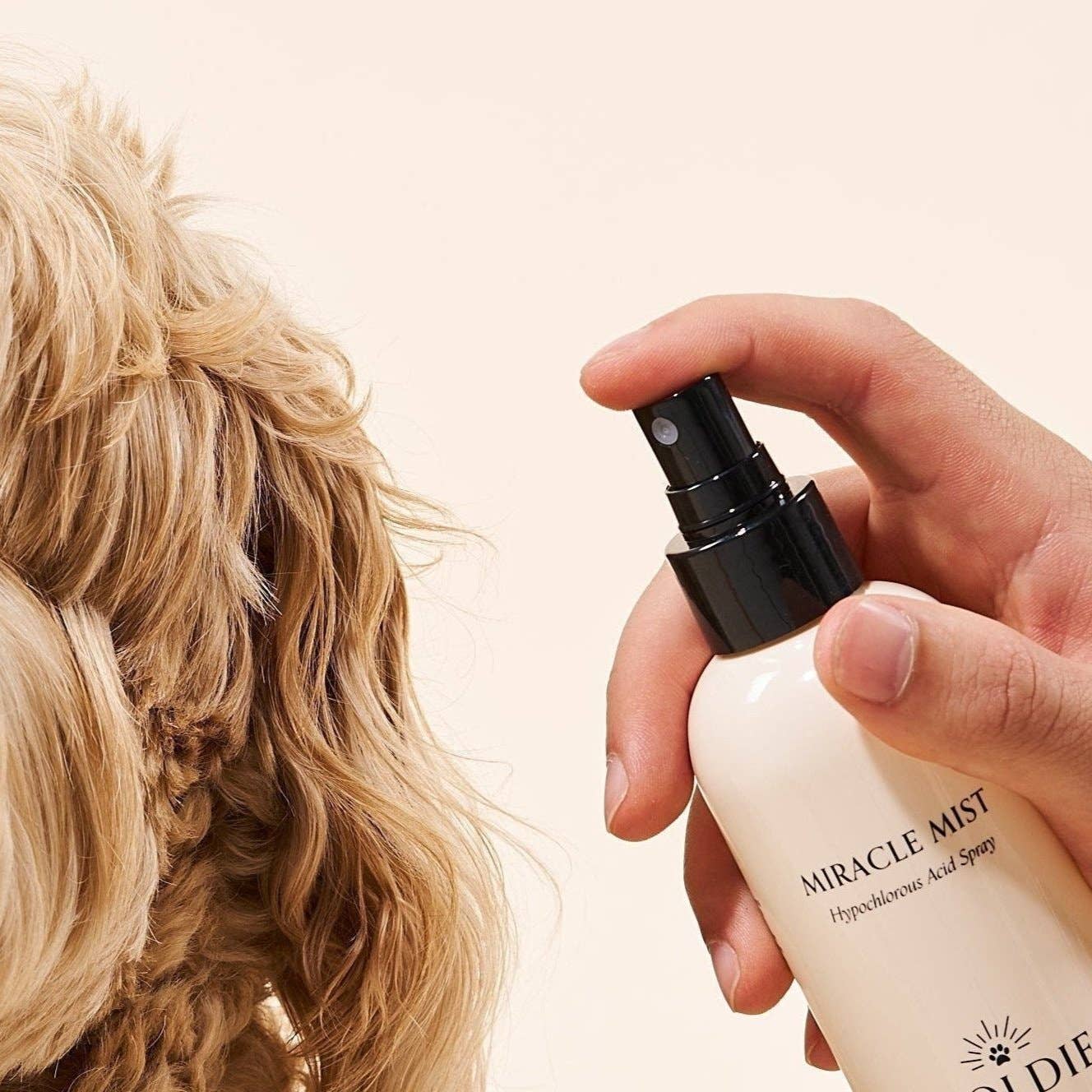Miracle Mist - The Bougie Pet Boutique