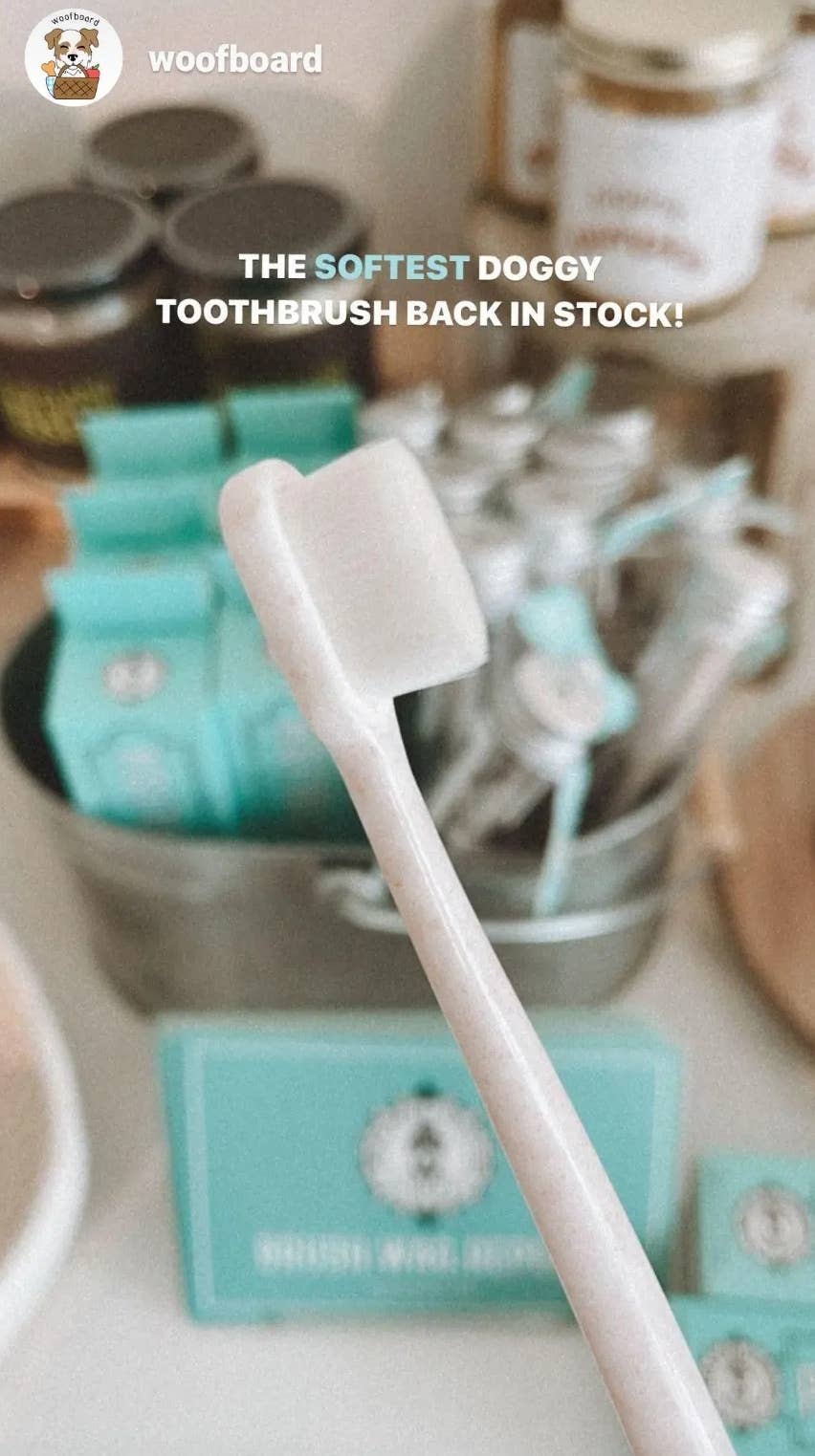Puppy Polisher Eco Toothbrush - (Medium) - The Bougie Pet Boutique