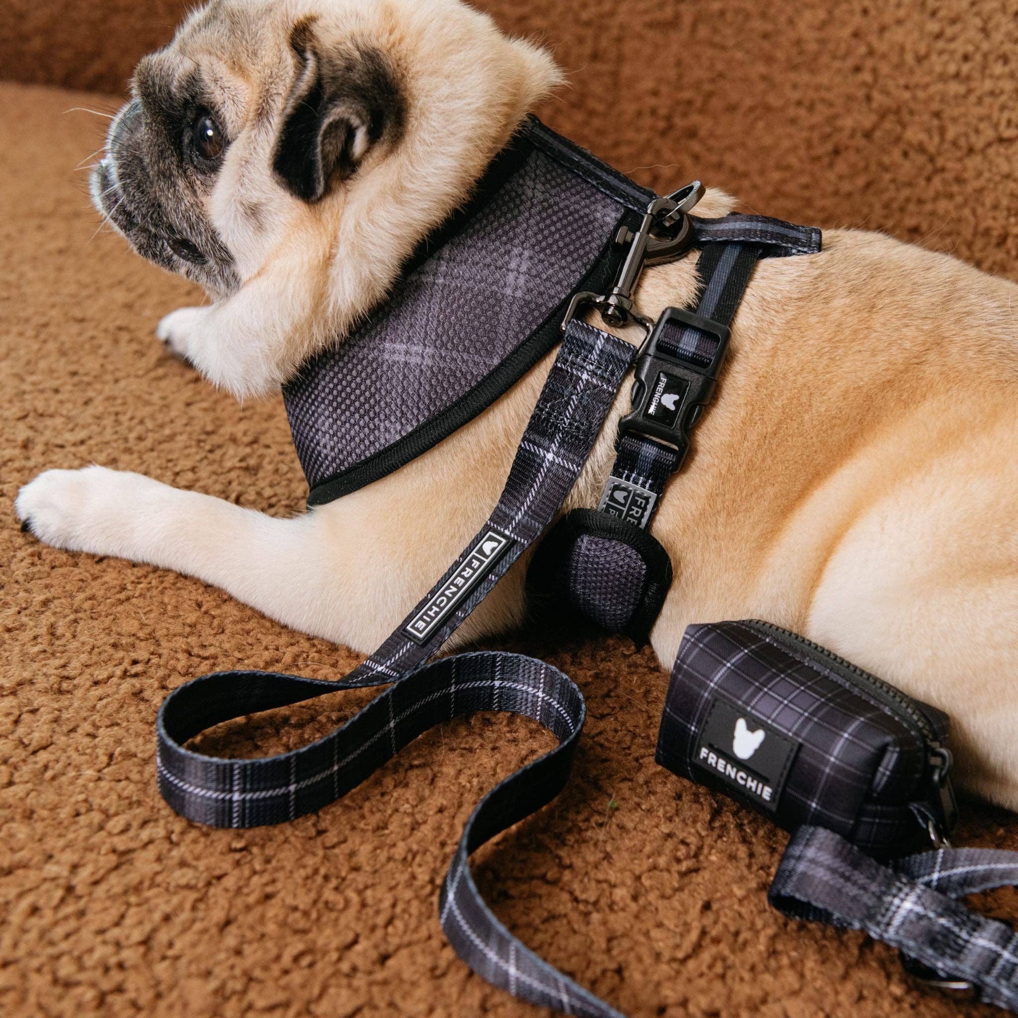 Frenchie Poo Bag Holder - Black Plaid