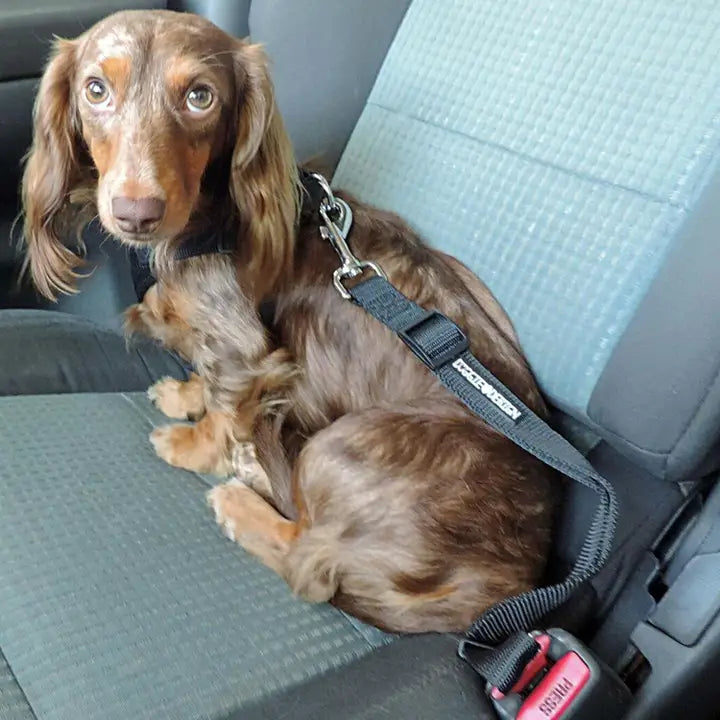 Pet Seat Belt