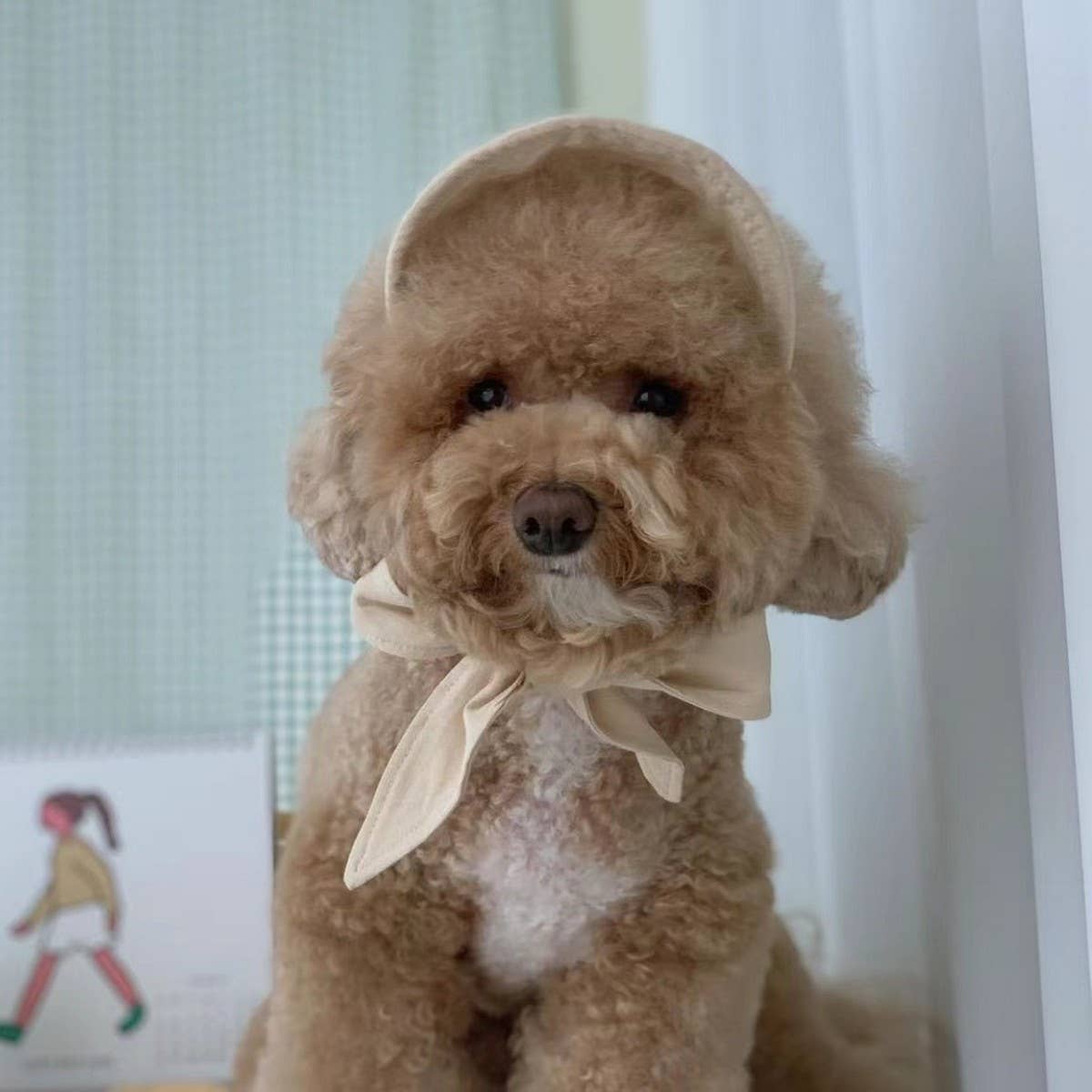 Sun Hat for Small Dogs & Cats – Garden Style_CWAH3709 PAWPAWwholesale