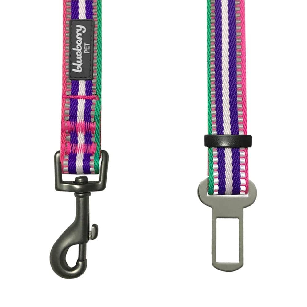 3M Reflective Safety Dog Seatbelt Tether in Multi-colored Stripes