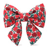 Apple of My Eye Fall Lady Dog Bow