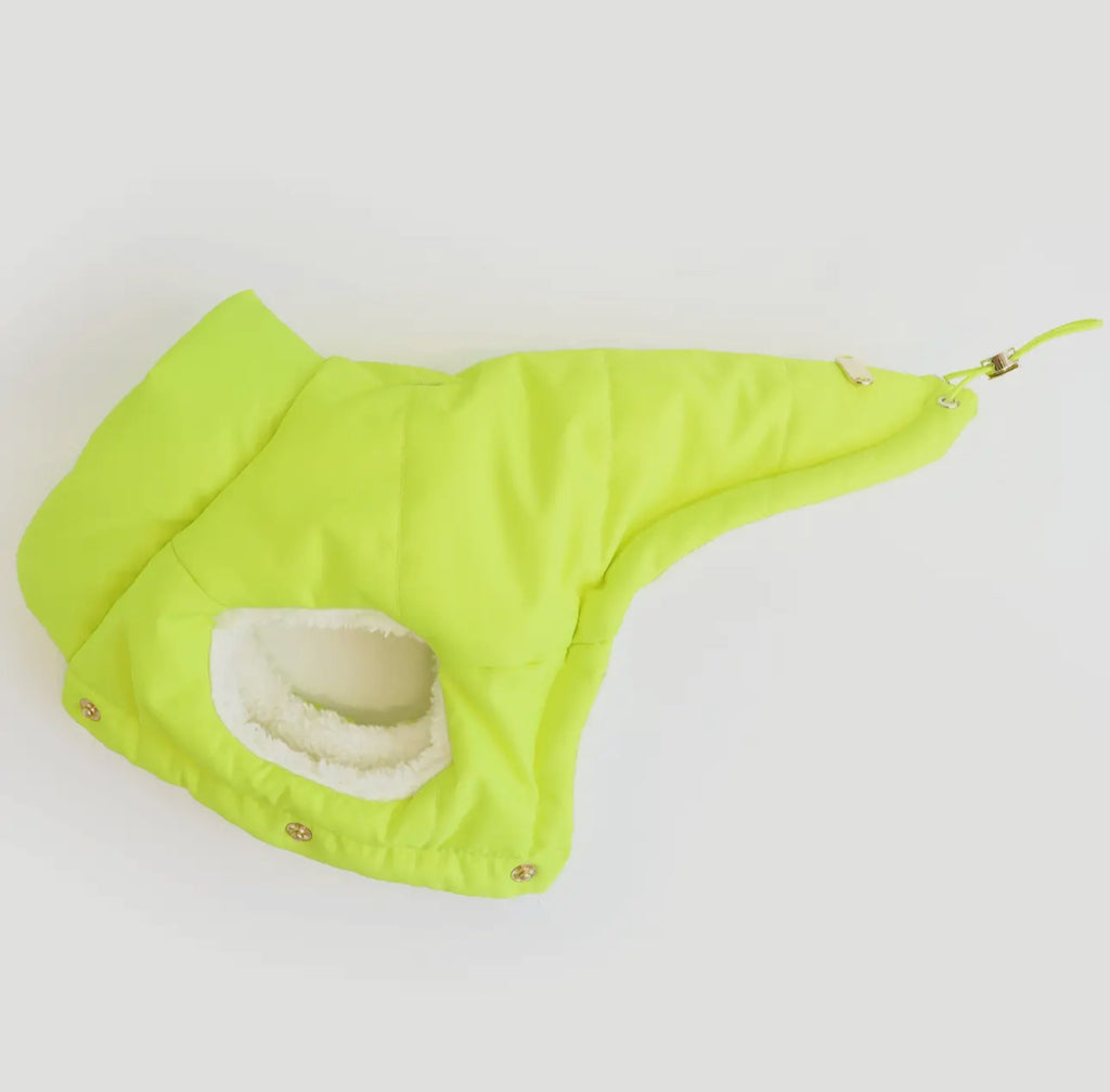 Lcb Puffer Jacket- Neon Yellow - The Bougie Pet Boutique
