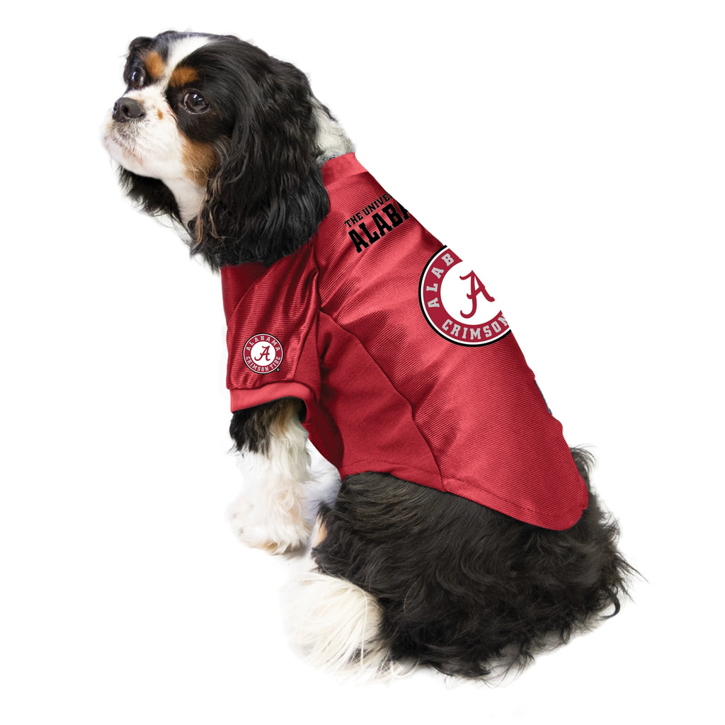Big AL Jersey The Bougie Pet Boutique