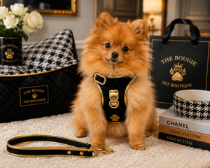 PRE-ORDER Bougie Pet™ Black & Houndstooth Harness Bougie Pet