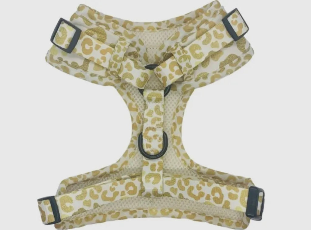 You’re So Golden Adjustable Harness - The Bougie Pet Boutique