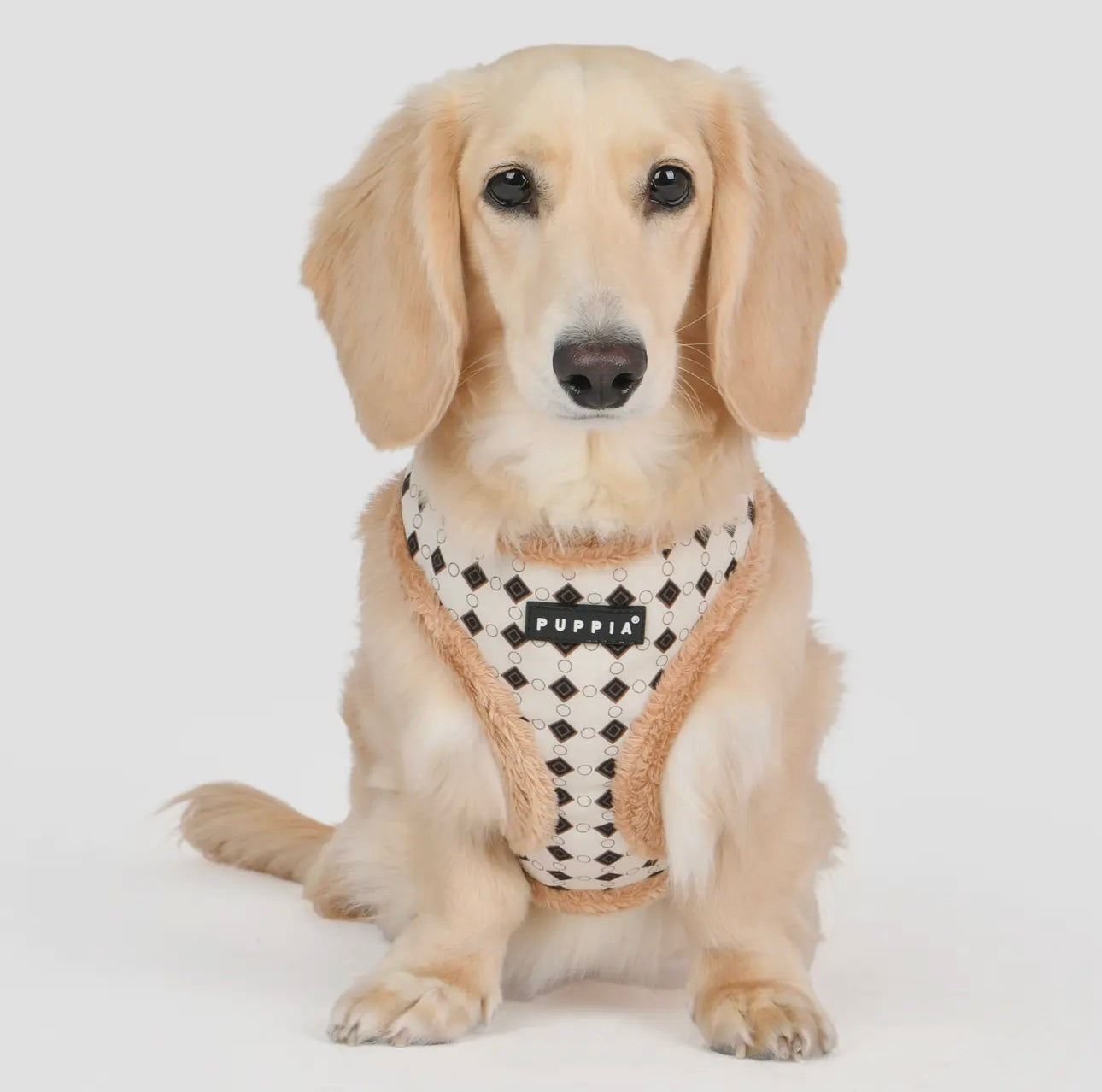 Jace Dog Harness Over-The-Head Diamond Pattern with a Smart Tag