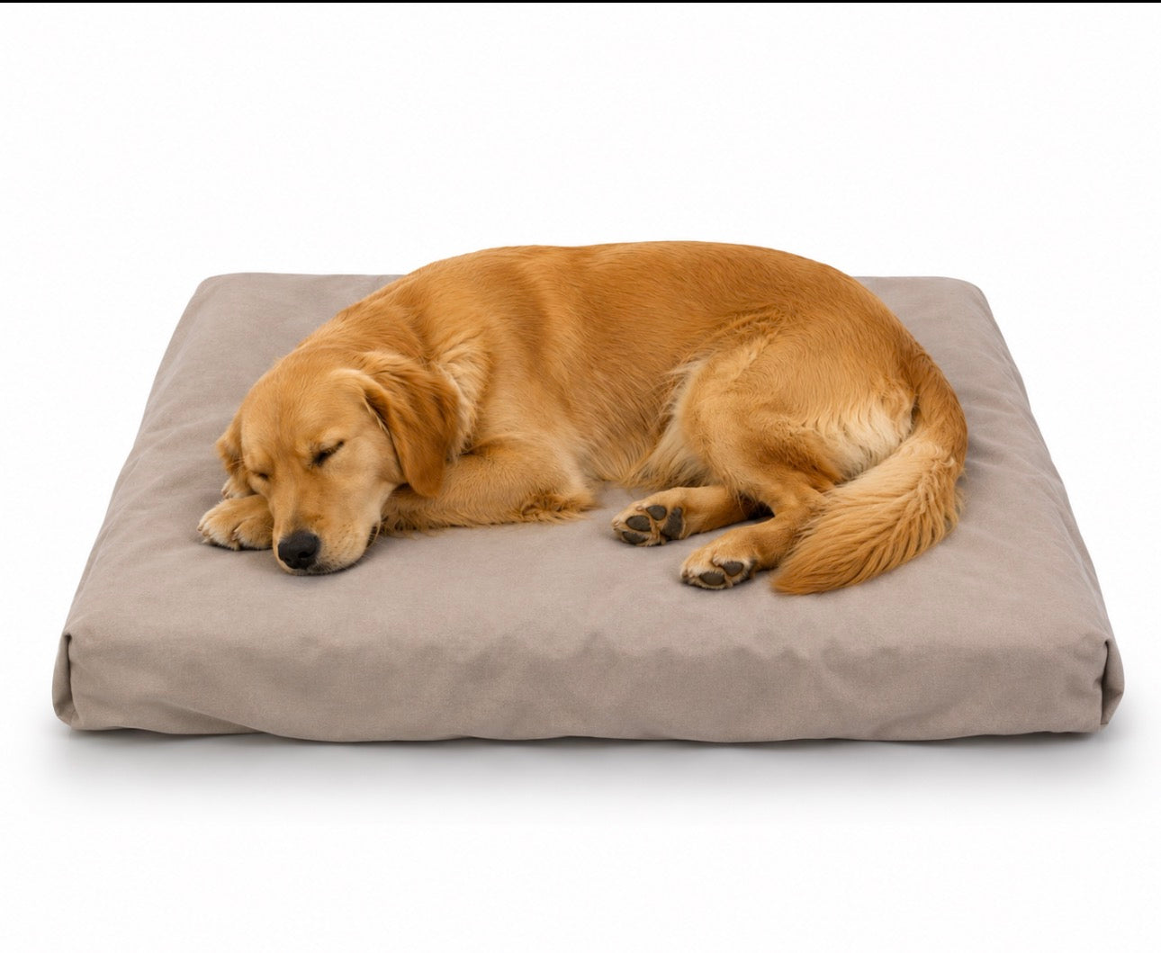 BUPS Premium Disposable Pet Bed Sheets (Pack of 3) RedPetz