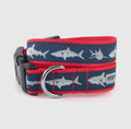 Navy Sharks Collar - The Bougie Pet Boutique