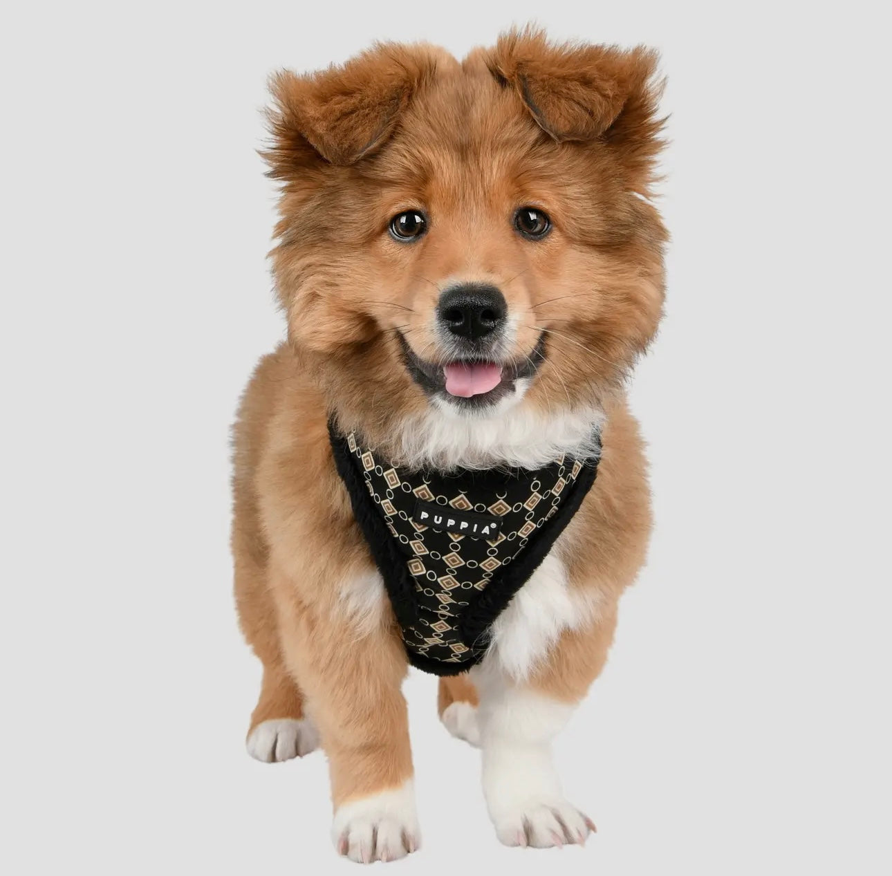 Jace Dog Harness Over-The-Head Diamond Pattern with a Smart Tag - The Bougie Pet Boutique