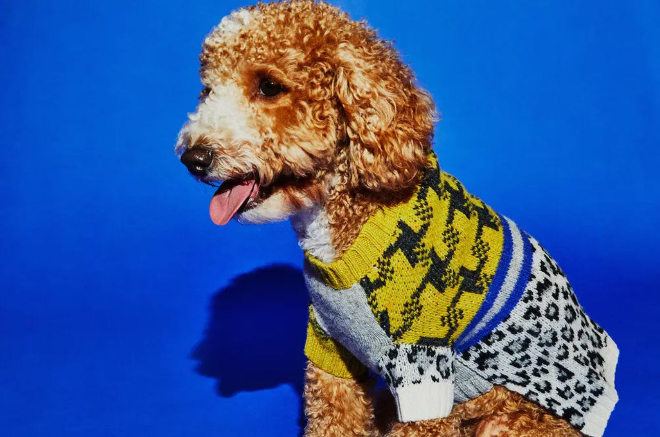 Leopard Combo Sweater- Merino Wool - The Bougie Pet Boutique