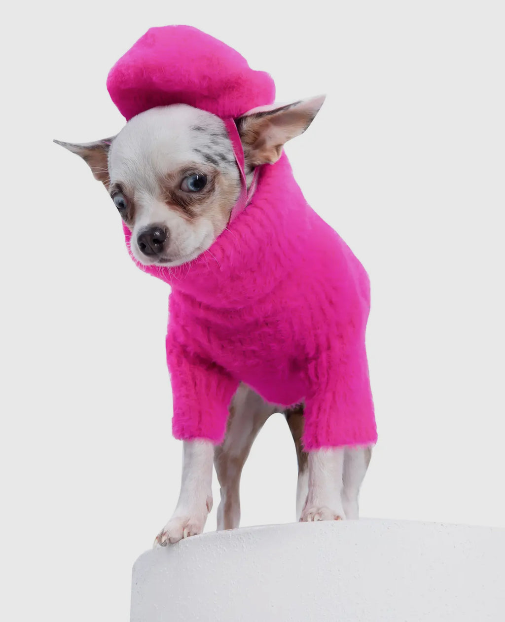Elle Sweater and Beret Set - The Bougie Pet Boutique