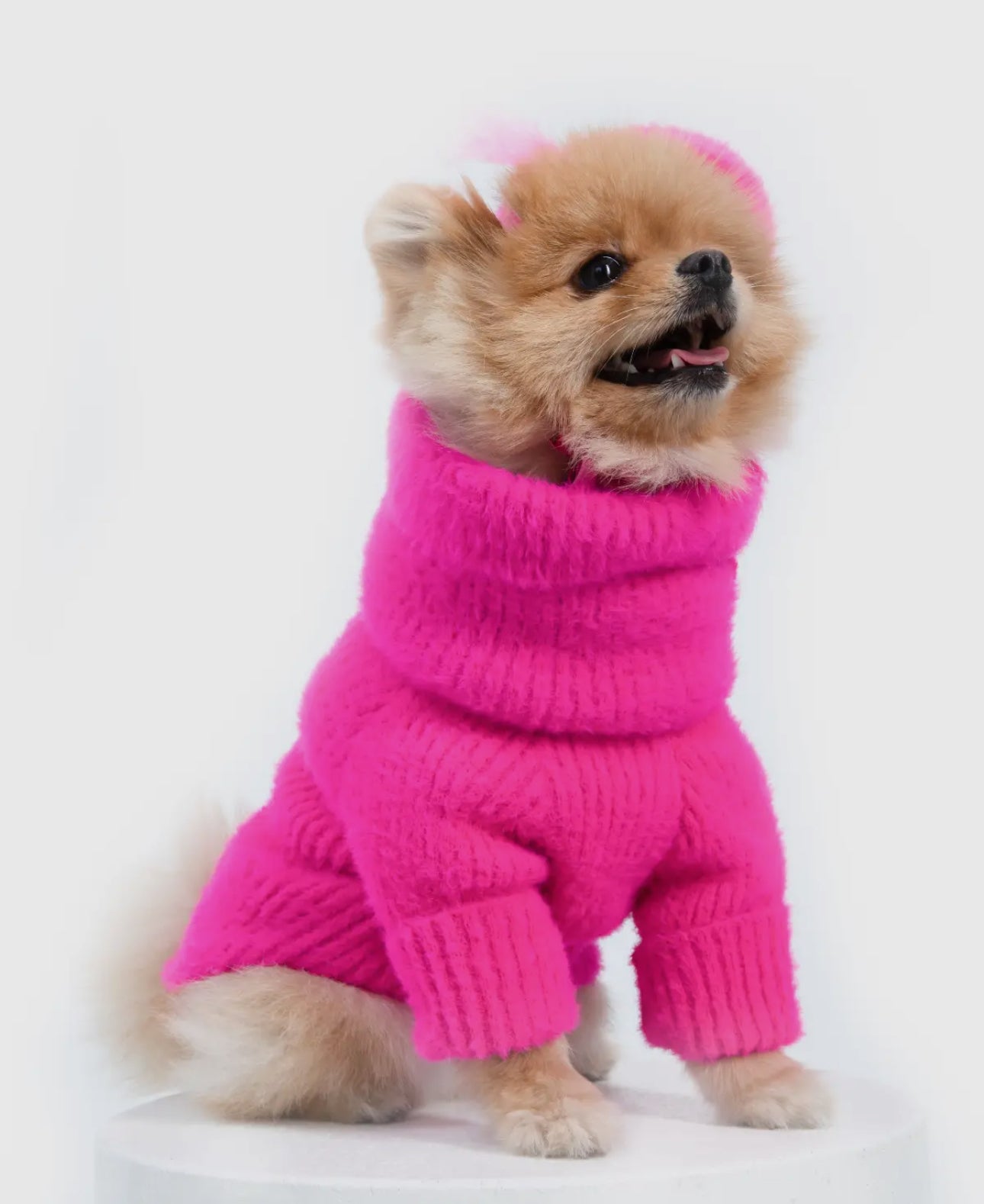 Elle Sweater and Beret Set - The Bougie Pet Boutique