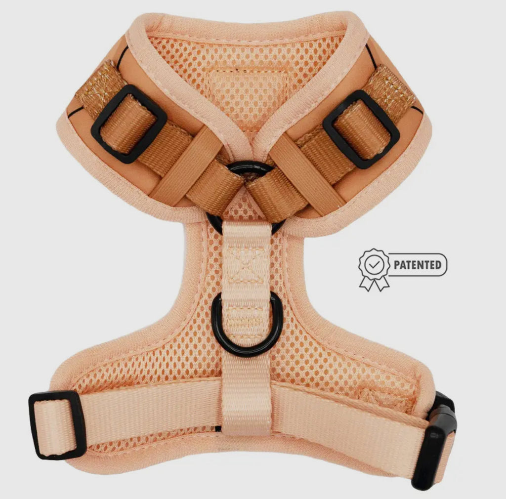 Dog Adjustable Harness - Muscle Bod - The Bougie Pet Boutique