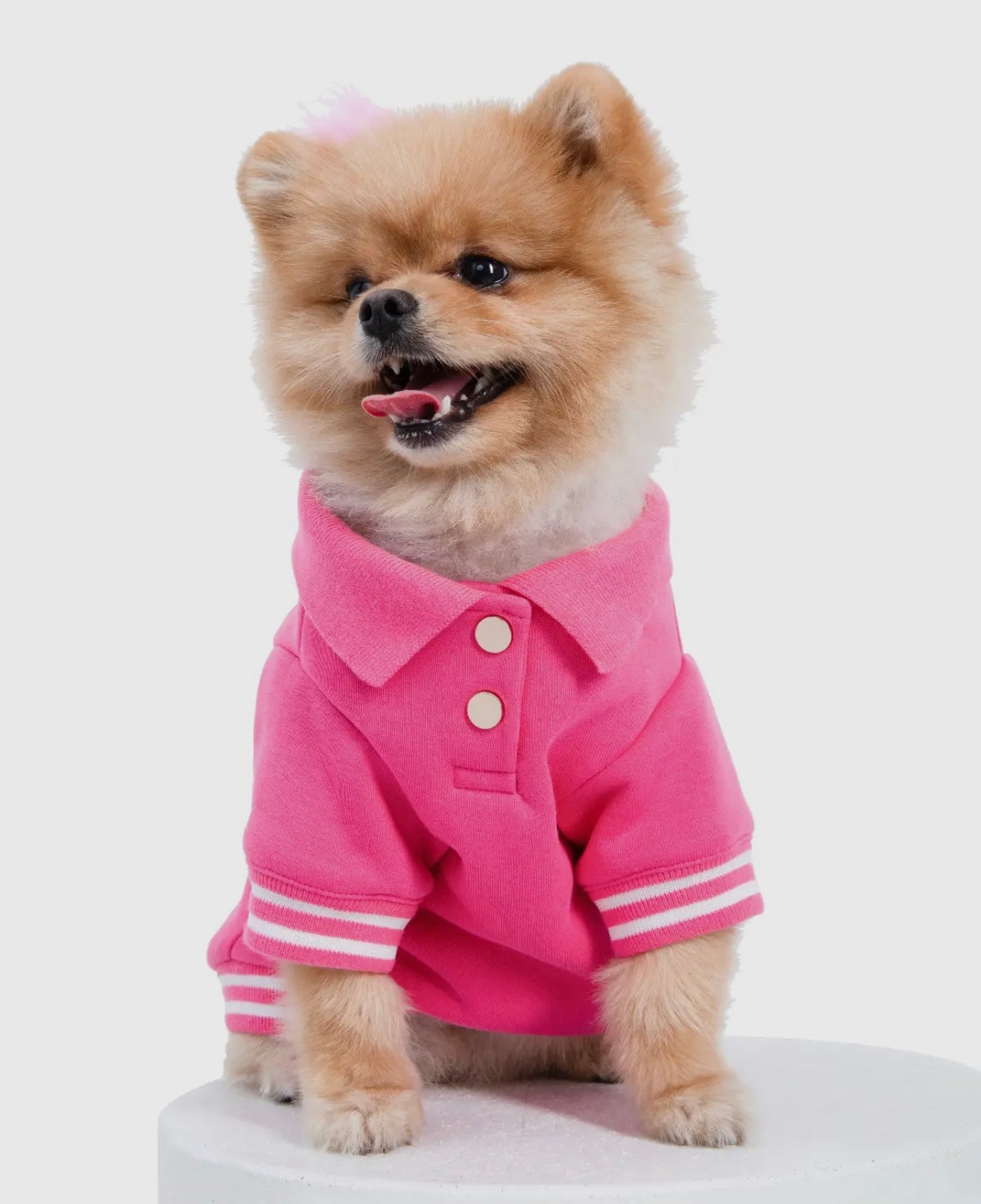 Boss Babe Sweatshirt - The Bougie Pet Boutique