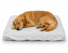 BUPS Premium Disposable Pet Bed Sheets (Pack of 3) RedPetz