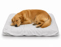 BUPS Premium Disposable Pet Bed Sheets (Pack of 3) RedPetz