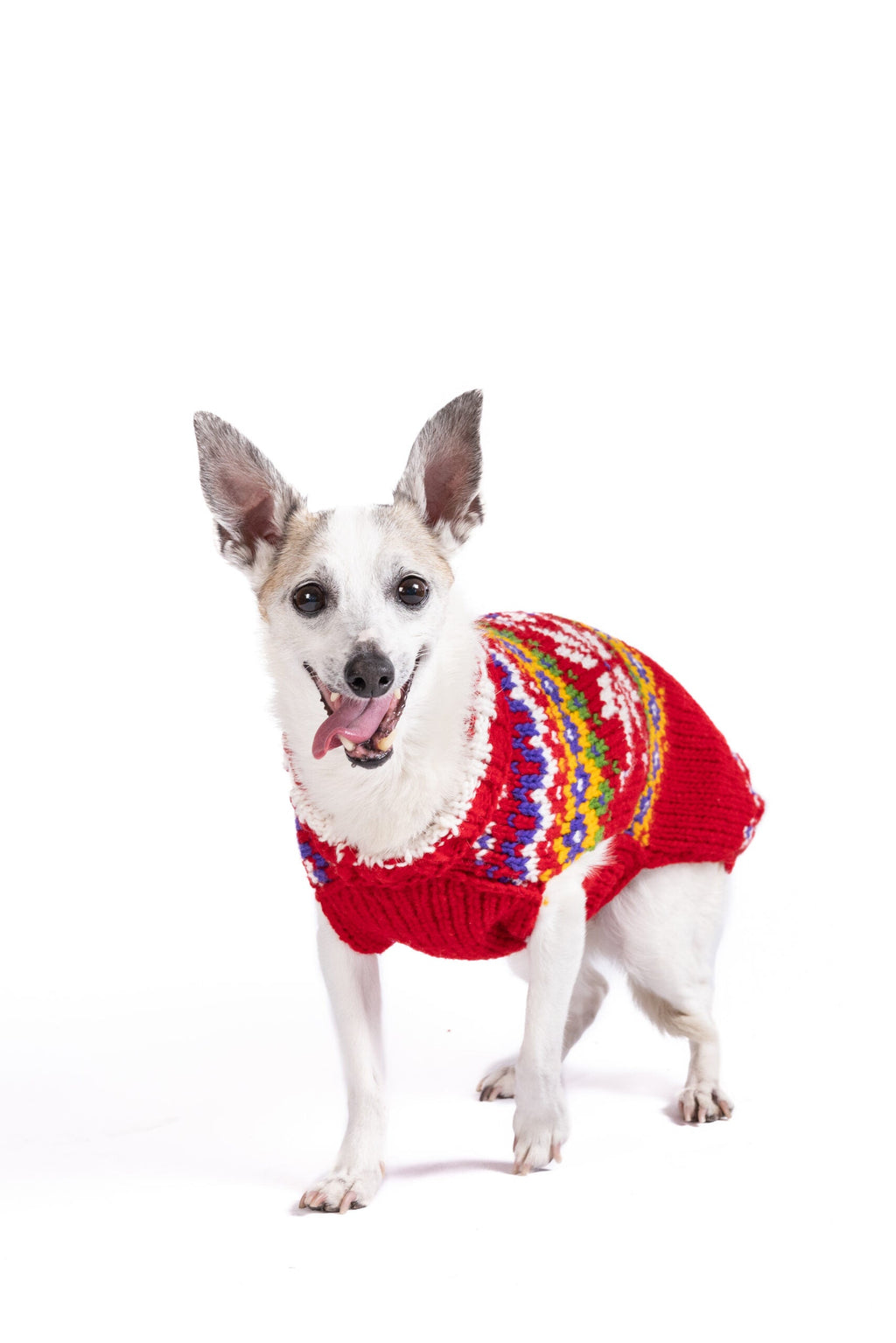 Jolly Red Dog Sweater ChillyDogSweaters