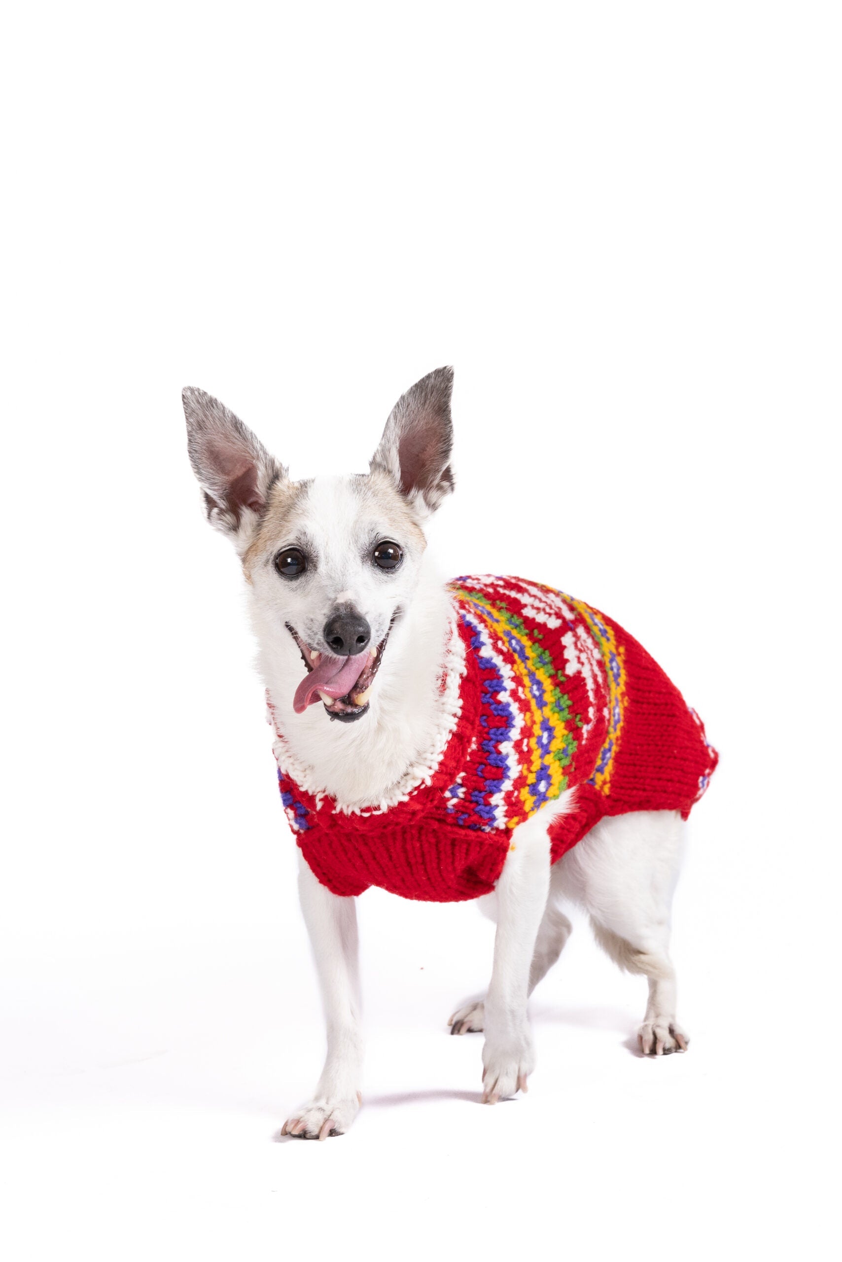 Jolly Red Dog Sweater ChillyDogSweaters