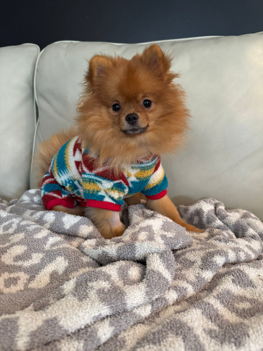 Warm Fair Isle Pet Onesie PAWPAWwholesale