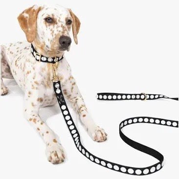 Kate Spade New York Art Dot Dog Collar - The Bougie Pet Boutique