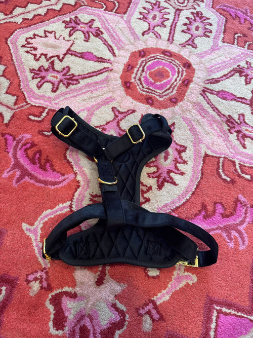 Black Velvet Bougie Pet Harness - The Bougie Pet Boutique