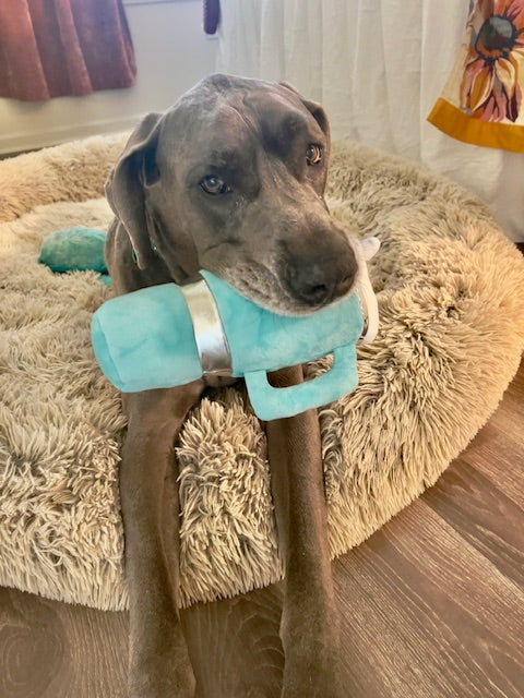 Snuggly Cup - Teal My Store