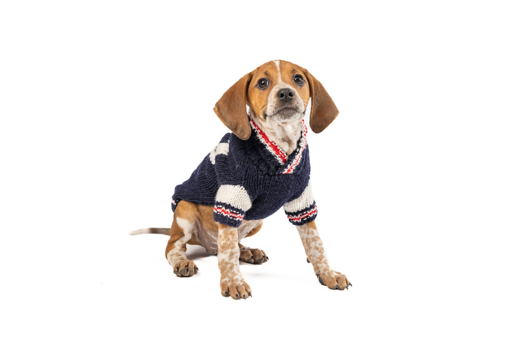 Varsity Dog Sweater ChillyDogSweaters