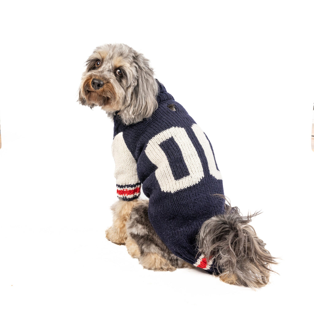 Varsity Dog Sweater ChillyDogSweaters