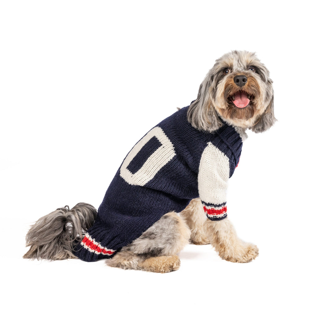 Varsity Dog Sweater ChillyDogSweaters
