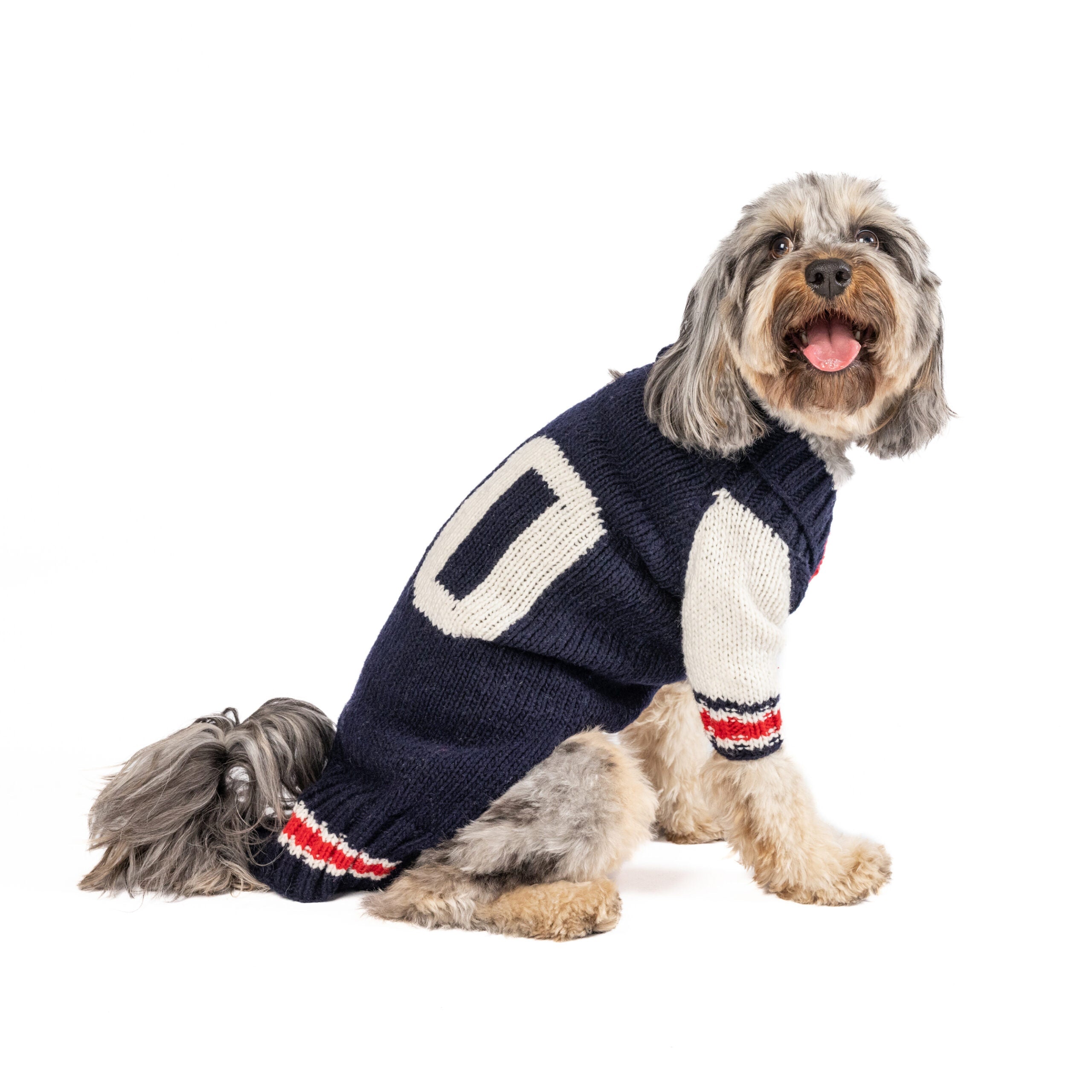 Varsity Dog Sweater ChillyDogSweaters