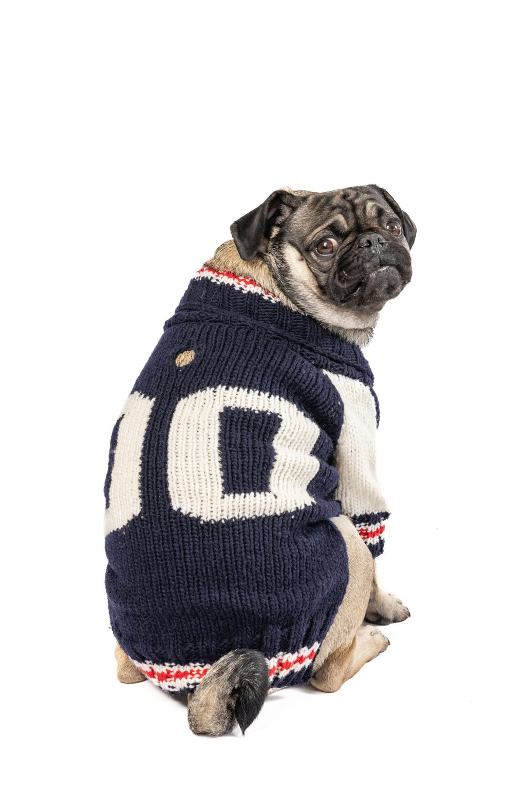 Varsity Dog Sweater ChillyDogSweaters