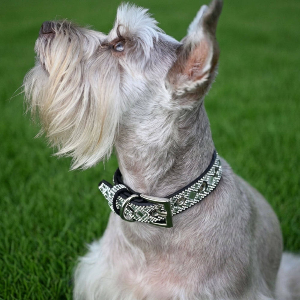 Silver Rhinestone Dog Collar Dog Collar World