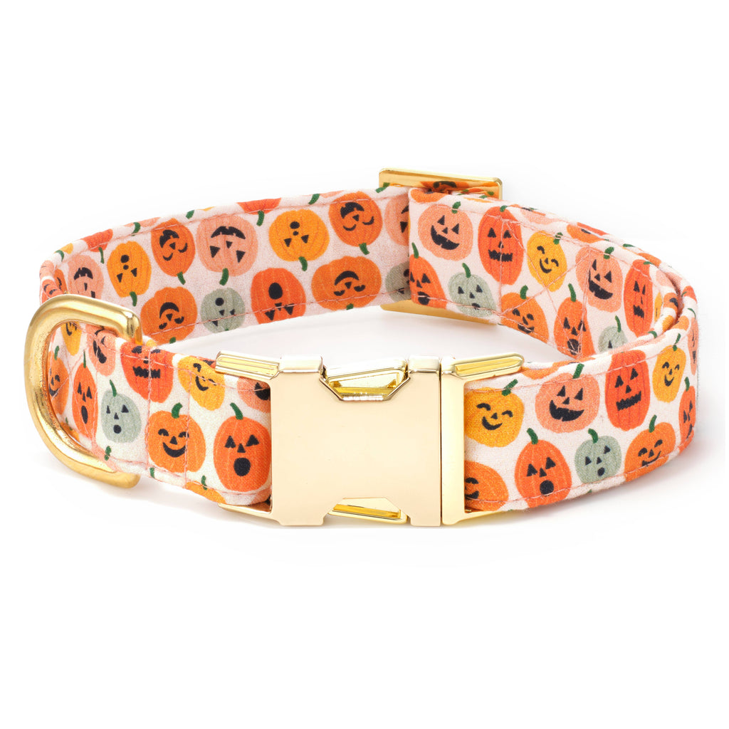 Jack-o'-Lanterns Halloween Dog Collar - The Bougie Pet Boutique