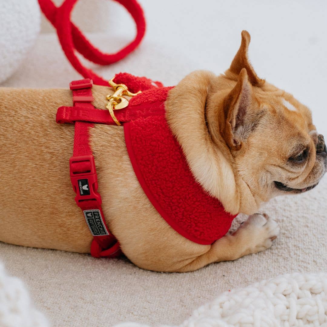 Frenchie Duo Reversible Harness - Teddy Red