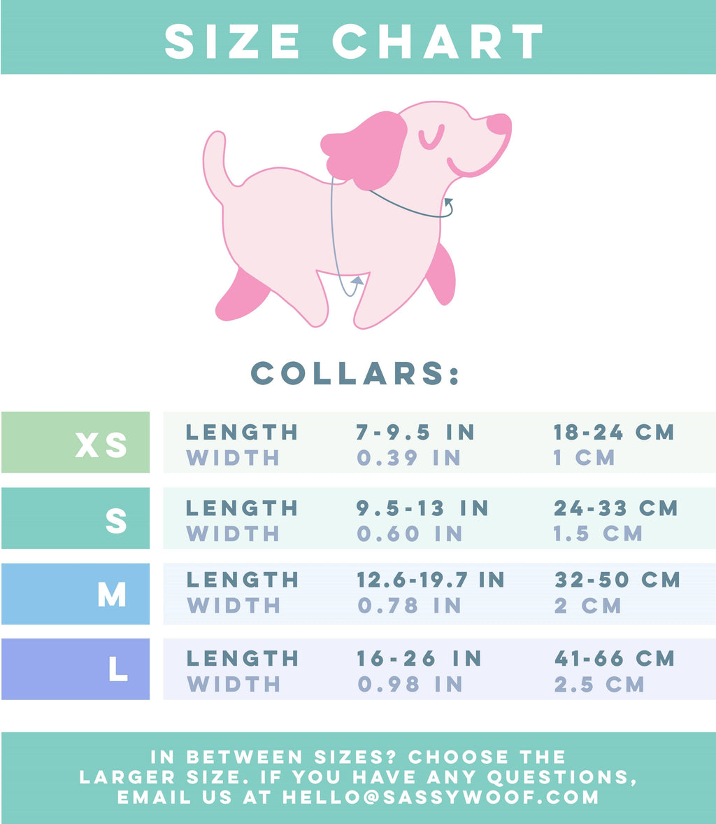 Dog Collar - Malibu - The Bougie Pet Boutique