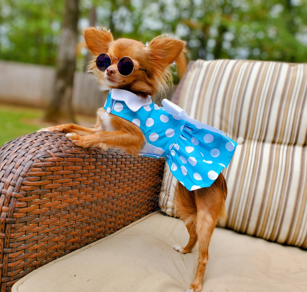 Blue Polka Dot Dog Dress w/ Matching Leash - The Bougie Pet Boutique