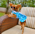 Blue Polka Dot Dog Dress w/ Matching Leash - The Bougie Pet Boutique