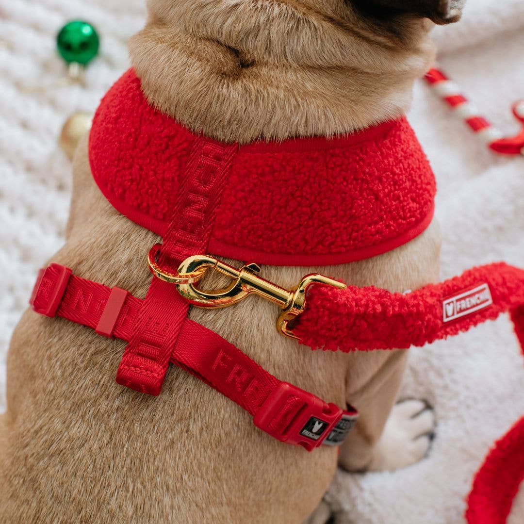 Frenchie Duo Reversible Harness - Teddy Red