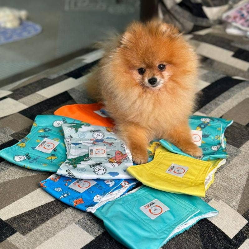Reusable Male Dog Belly Bands – 3 Pack, Leakproof & Ultra Absorbent KIKA USA