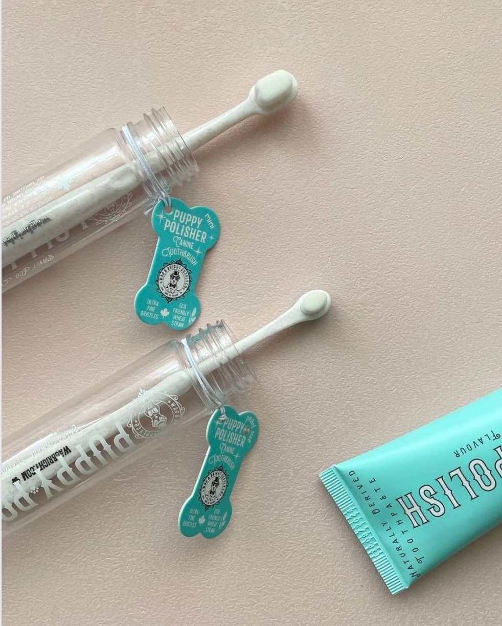 Puppy Polisher Eco Toothbrush - (Medium) - The Bougie Pet Boutique