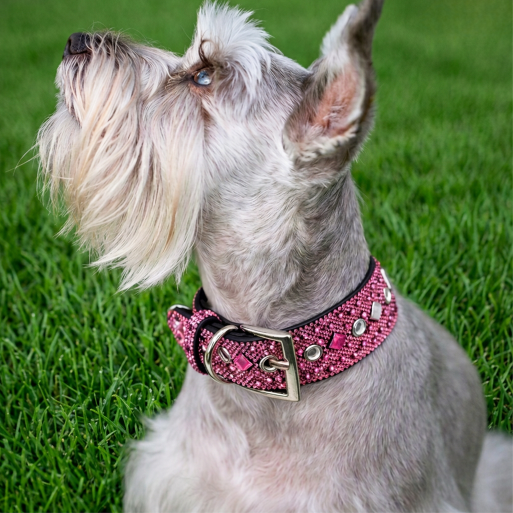 Pink Rhinestone Dog Collar Dog Collar World