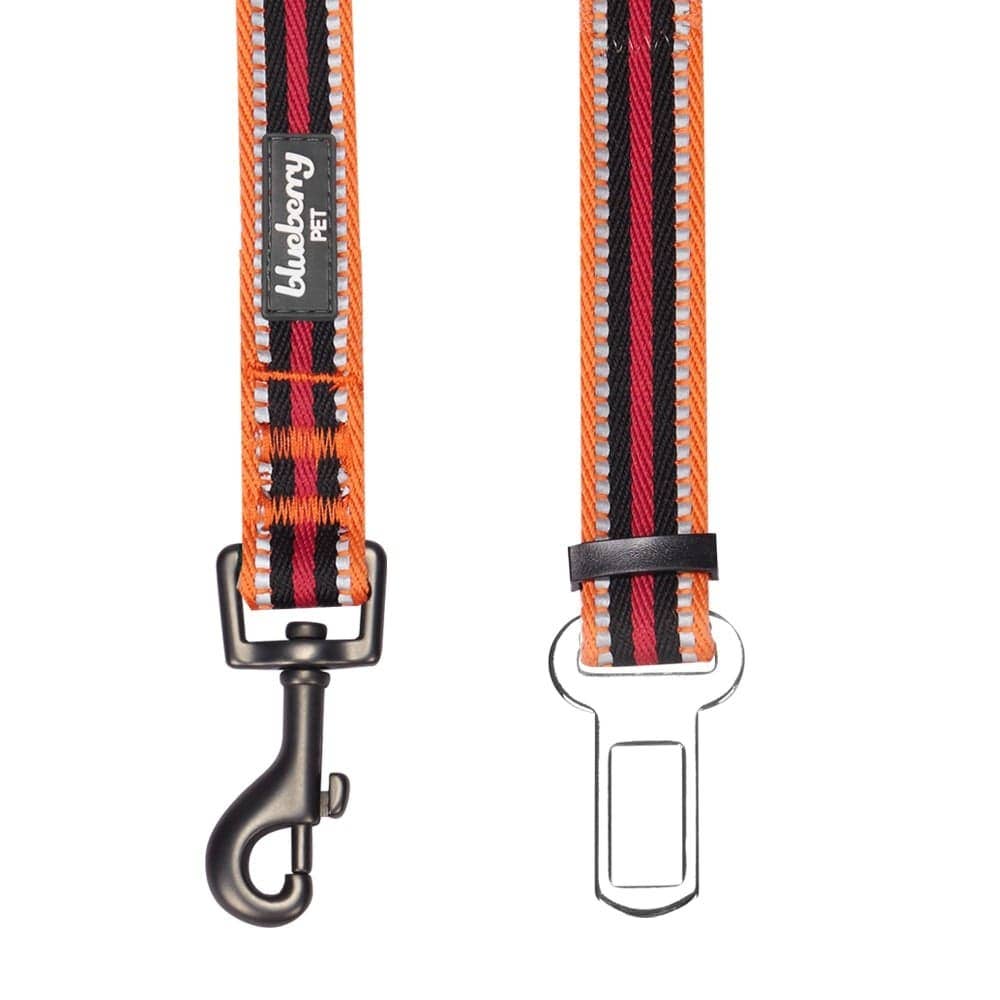 3M Reflective Safety Dog Seatbelt Tether in Multi-colored Stripes