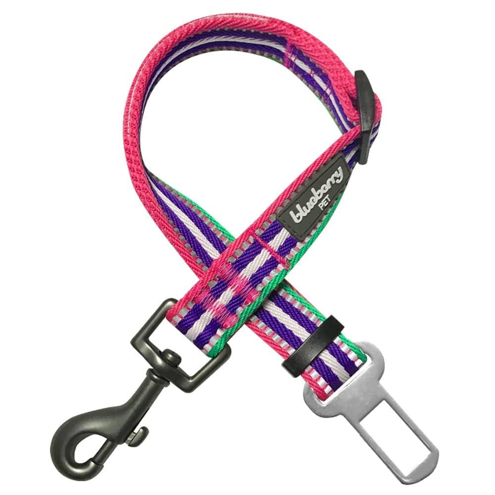 3M Reflective Safety Dog Seatbelt Tether in Multi-colored Stripes