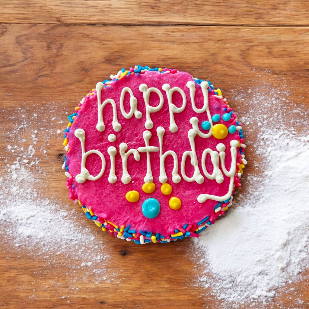 Colorful FIESTA Sprinkle Doggie Cake Treat YumYum4DOGS