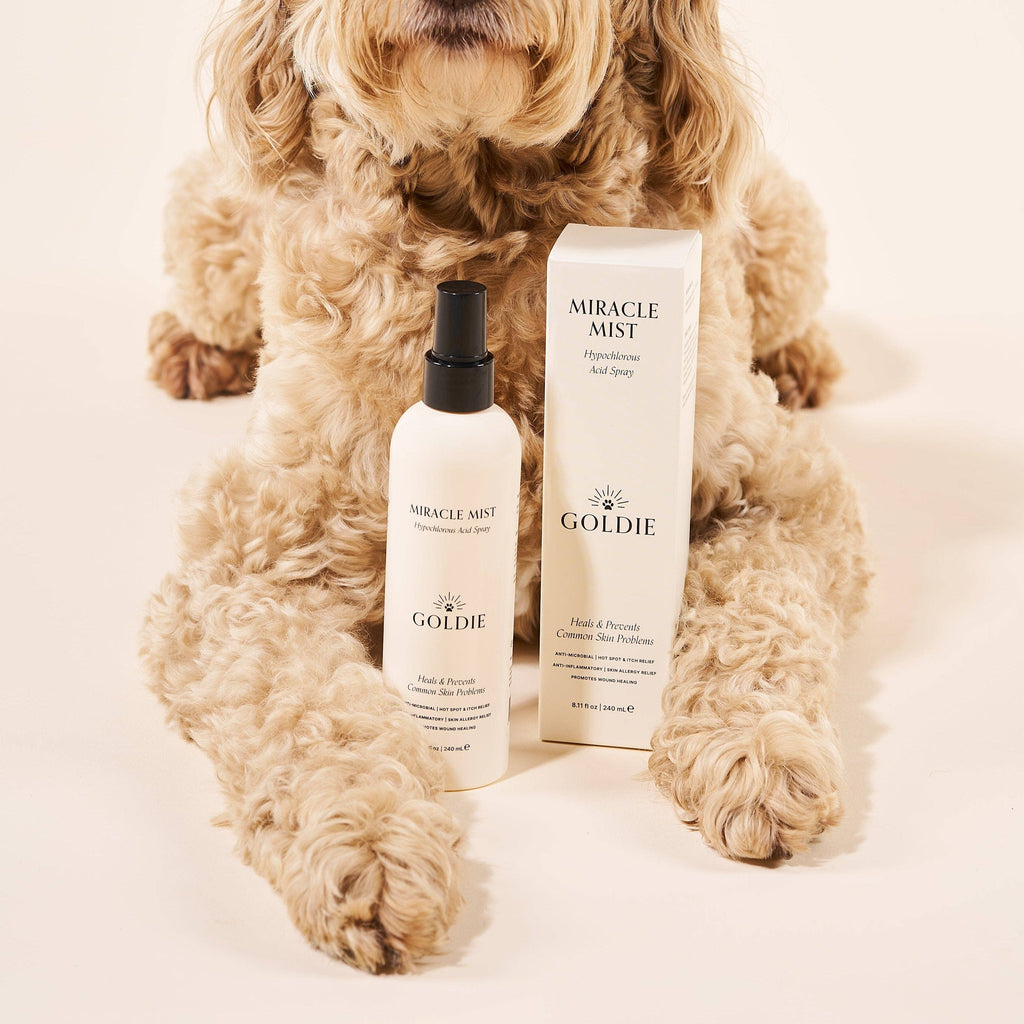 Miracle Mist - The Bougie Pet Boutique